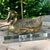 1970s Vintage Brass Duck Table Lamp on Clear Acrylic Base, 1970s For Sale - Image 5 of 18