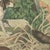 Antique Grizzly and Black Bear Print with Wolf and Fox and Raccoon, 1890 For Sale - Image 4 of 12