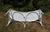 White Wrought Iron Garden Bench, 1920s For Sale - Image 8 of 13