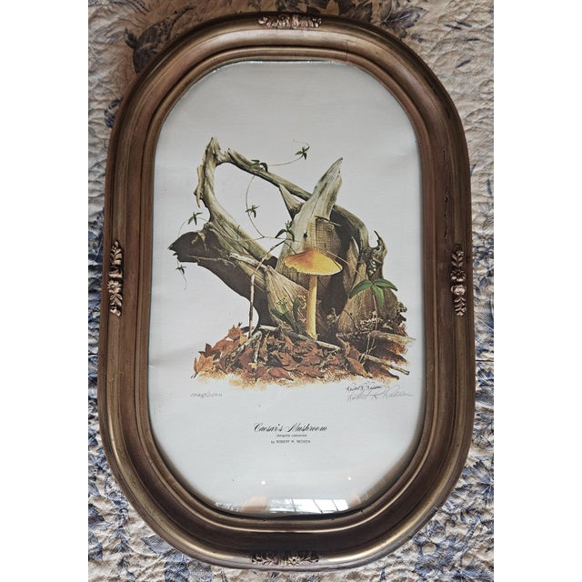 Victorian Late 19th Century Pair of Victorian Gold Gesso Oval Frames, Original Convex Glass For Sale - Image 3 of 17