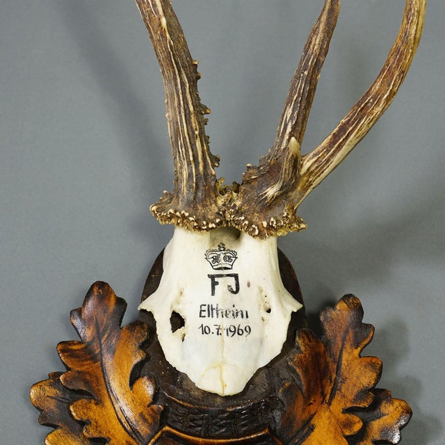 Red Deer Trophy by Franz Joseph, Prince of Thurn and Taxis, 1969 For Sale - Image 6 of 7