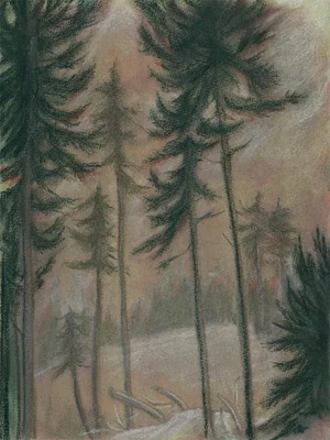 Mixed Media Landscape Drawing by Kathleen Ney