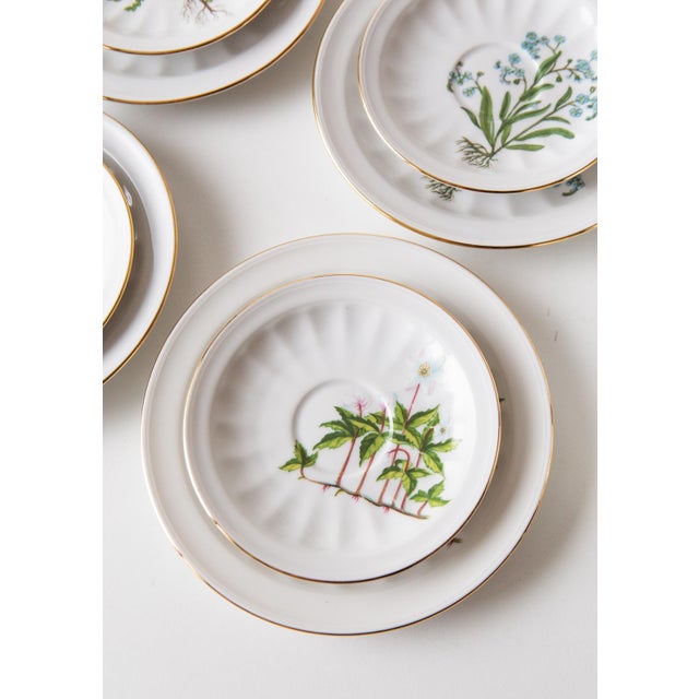 Coffee and Dessert from Tettau, 1976, Set of 28 For Sale - Image 15 of 18