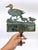 Vintage cast iron patina metal sign. Duck crossing. Stake it in the ground. Adds a cute element to your garden!
