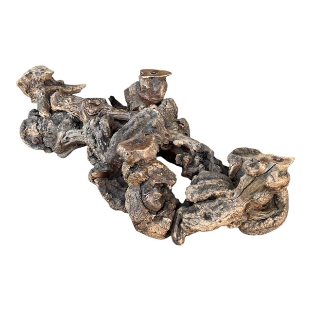 Vintage Sculptural Burl Wood Root Coffee Table With Glass Top – Organic Modern For Sale - Image 13 of 13