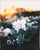 This oil on canvas artwork captures a delicate white flower standing out amidst a blurred, vibrant background of blooming...