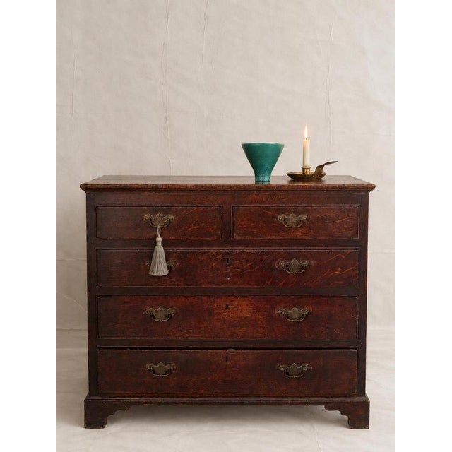 18th Century Georgian Oak 2-Over-3 Chest of Drawers For Sale - Image 14 of 14