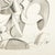 Between Two Presences - Robert Lohman, C. 1980 For Sale In San Diego - Image 6 of 10