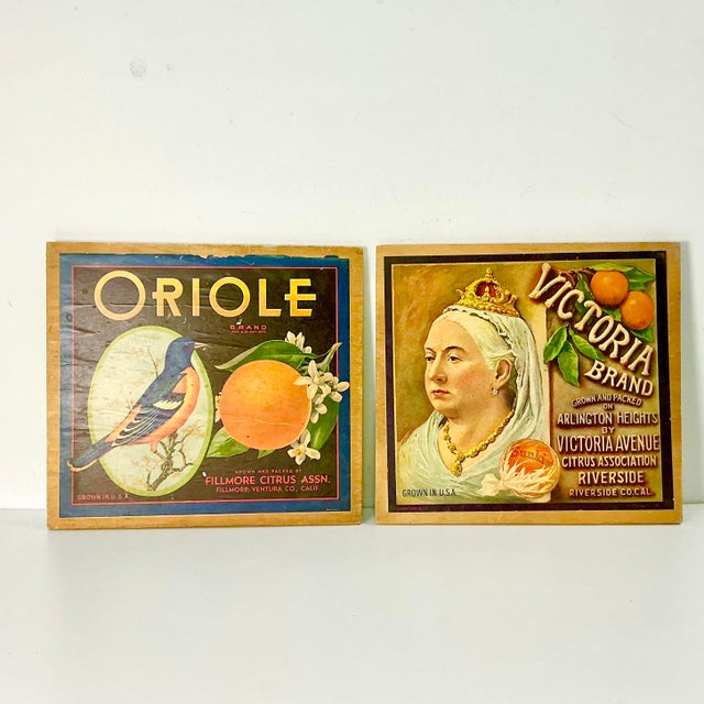 1930s Vintage Boho Chic Americana Art Deco Orange Crate Ephemera Advertisement Art For Sale - Image 9 of 10