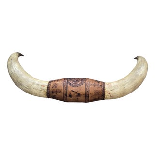 Antique Western Style Mounted Bull Horns on Wooden Base – Early 1900s Frontier Decor For Sale