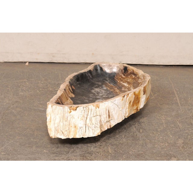 Black Live-Edge Petrified Wood Sink, Oblong Shape For Sale - Image 8 of 10