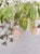 Hollywood Regency Tole 6 Light Palm Leaf Crystal Chandelier For Sale In West Palm - Image 6 of 11