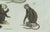Bertuch, Five Monkeys and Tamarins, 1802, Engraving For Sale - Image 4 of 9