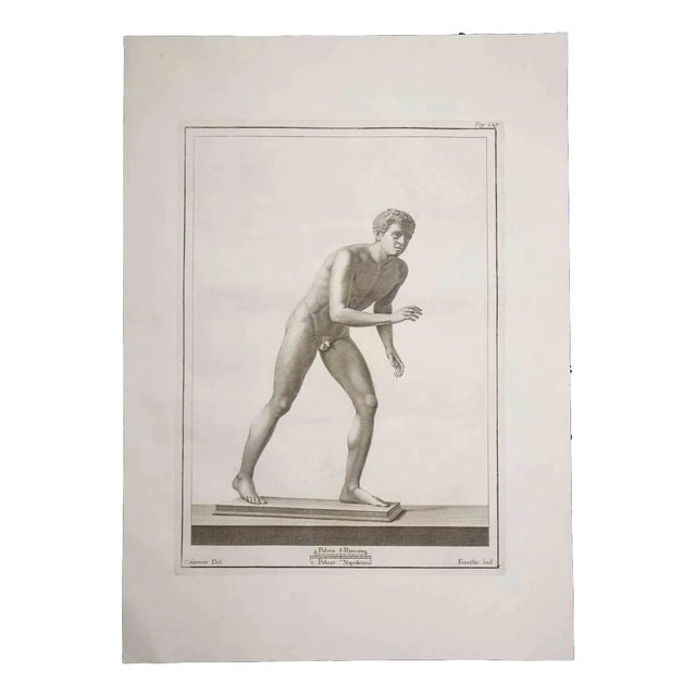 Nicola Fiorillo, Ancient Roman Statues, Original Etching, 18th-Century For Sale
