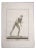 Nicola Fiorillo, Ancient Roman Statues, Original Etching, 18th-Century For Sale
