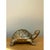 Vintage Burnished Brass Turtle For Sale - Image 9 of 12