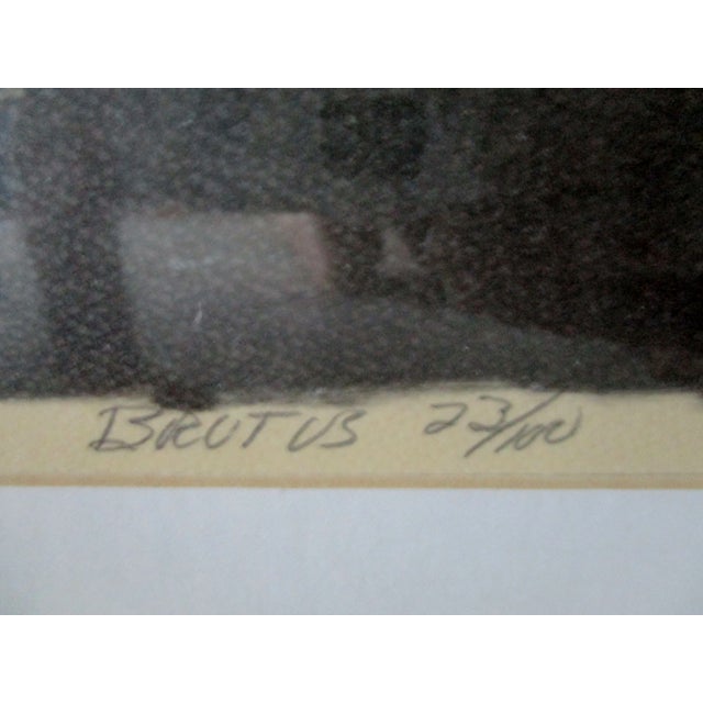 1970s 1970s "Brutus" Etching Numbered 23/100 by Paul Russell, Framed For Sale - Image 5 of 8