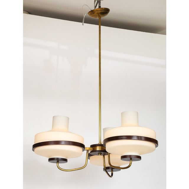 1960's Stilnovo Style Walnut and Brass Chandelier For Sale - Image 10 of 17