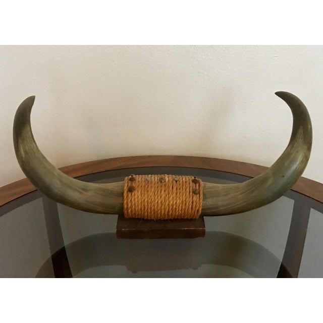 1950's Mounted Bull Horns Chairish