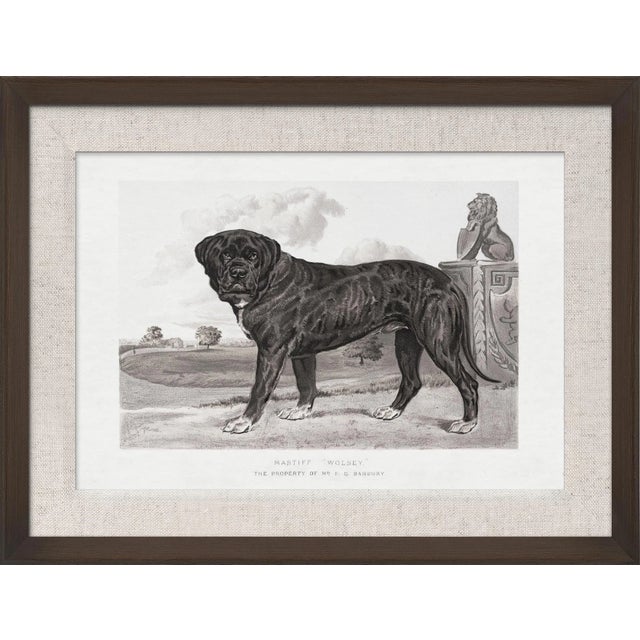 We all love our dogs and this collection allows you to choose all there different breeds that are illustrated from the...