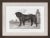 We all love our dogs and this collection allows you to choose all there different breeds that are illustrated from the...