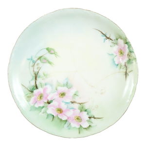 Early 20th Century R C Versailles Rosenthal Plate from Germany
