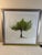 Bring an elegant touch of organic minimalism to your space with this sophisticated set contemporary paintings, titled...