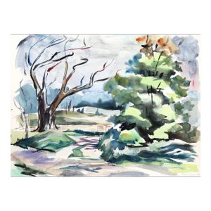 1950s "Wooded Landscape P3.1" Watercolor Painting by Eve Nethercott