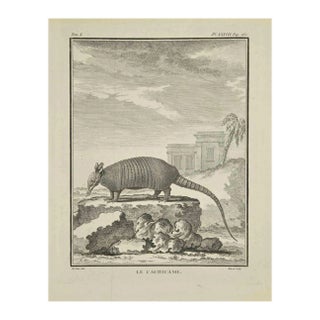 Jacques Baron, Le Caciicame, Etching, 1771 For Sale