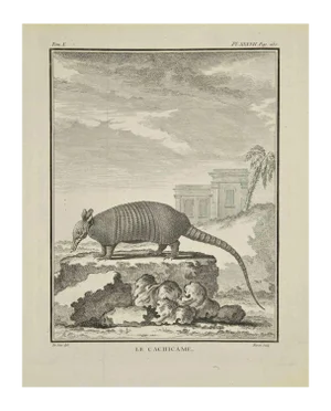 Jacques Baron, Le Caciicame, Etching, 1771