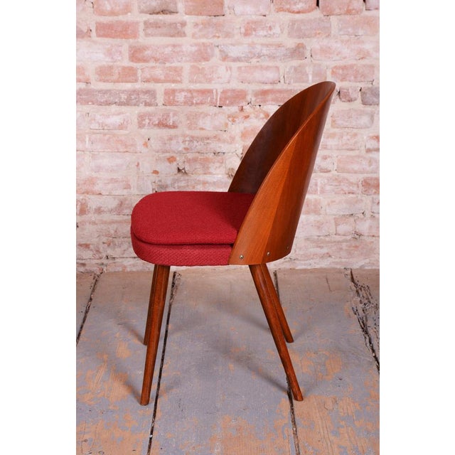 Mid-Century Walnut Chairs from Antonín Šuman, Czech, 1950s, Set of 4 For Sale - Image 12 of 18