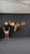 Yukon Moose Shoulder Mount With Large Palmate Antlers For Sale - Image 4 of 12