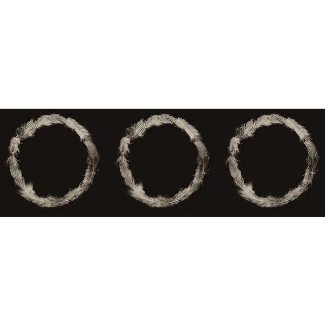 Nature still life of three circles made from feathers Unframed Ring of Feathers I by Trinette + Chris Print, 30" x 90"