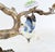 2000 - 2009 French Bronze Branches with Porcelain Birds and Flowers, Set of 2 For Sale - Image 5 of 18
