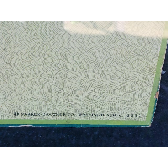 Glass Antique Large Ice Cream Cone Diecut Framed Kewpies Advertising c.1920 For Sale - Image 7 of 10