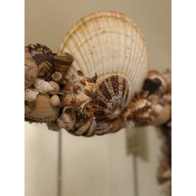 Antique Mirror With Shells For Sale - Image 11 of 12