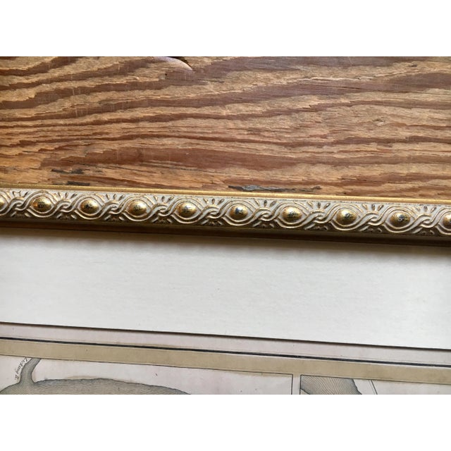 Wood 1838 Antique Five American Cities as Ordered by Congress Framed Aquatint Print For Sale - Image 7 of 8