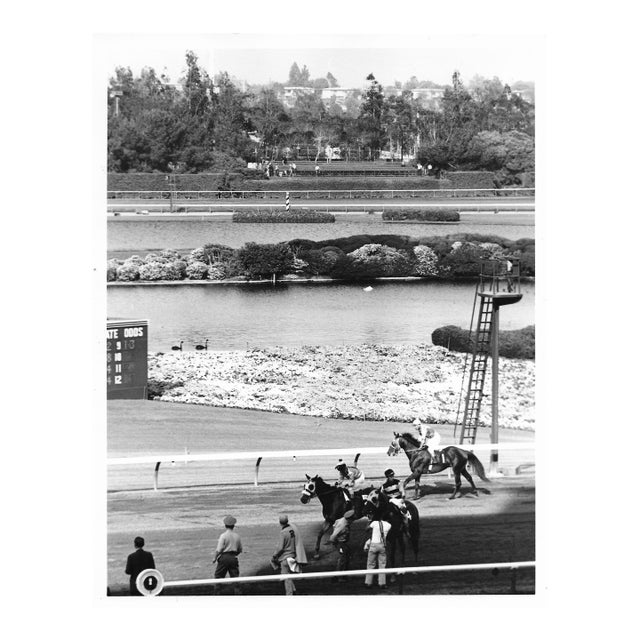 1970s Hollywood Park Horse Racing Photograph by Don Ware For Sale