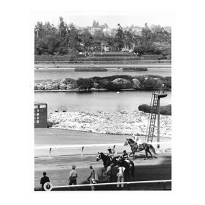 1970s Hollywood Park Horse Racing Photograph by Don Ware