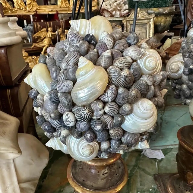 19th Century Lacquered Wood Sicilian Palm Holder With Shell Composition - a Pair For Sale - Image 6 of 11