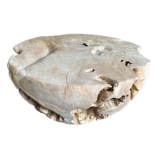 Andrianna Shamaris Organic Bleached Teak Wood Coffee Table For Sale