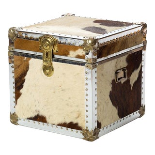 1970s Cowhide, Brass & Chrome Trunk or Cube Table For Sale