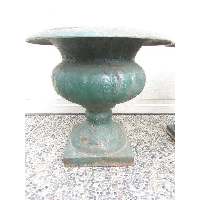 Green Pair of Antique French Medici Style Cast Iron Urns For Sale - Image 8 of 18