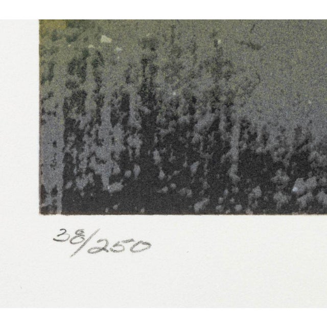 1990s Ross Bleckner "Dream and Do" Screenprint For Sale - Image 5 of 8