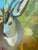 This 18” square painting is full of layers and glazes, collage and mixed media. The mule deer buck is beautiful with a...