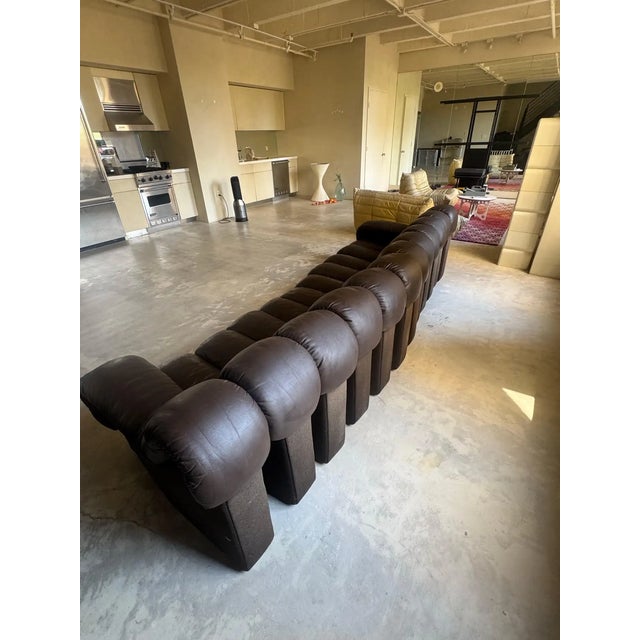 De Sede Attributed De Sede Ds600 Brown Leather Non-Stop Snake Sofa, 1970s For Sale - Image 4 of 6