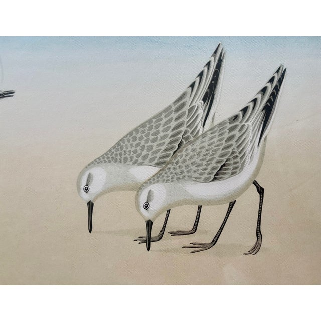 Paper 1970s Print - Sandpipers by David Grose For Sale - Image 7 of 11