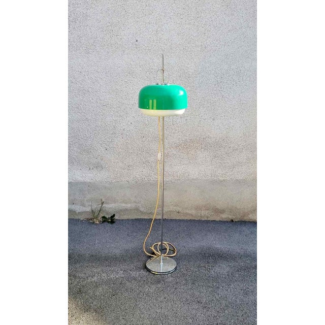 Mid-Century Green Medusa Floor Lamp by Luigi Massoni for Guzzini, Italy, 1970s For Sale - Image 14 of 15