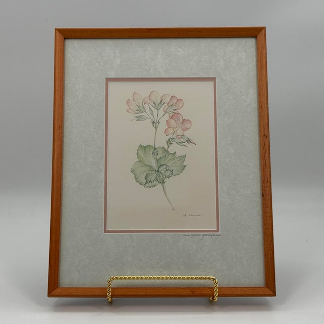 Vintage 1981 botanical portfolio print by Belgian artist Margot Weemaes (1909–1993), depicting Pelargonium grandiflorum...