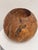 African Sculptural Burl Wood Vessel Bowl For Sale - Image 3 of 12